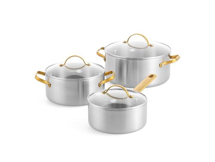 GreenPan Padova 6-teiliges Edelstahl-Kochgeschirrset mit Glasdeckeln, Kochtöpfen und Suppentopf, dreifach, induktionsgeeignet, goldener Edelstahlgriff, ofenfest bis 220 °C, spülmaschinenfest, silber