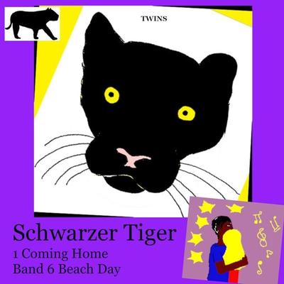 Schwarzer Tiger 1 Coming Home - TWINS, Audio, 9783989839687