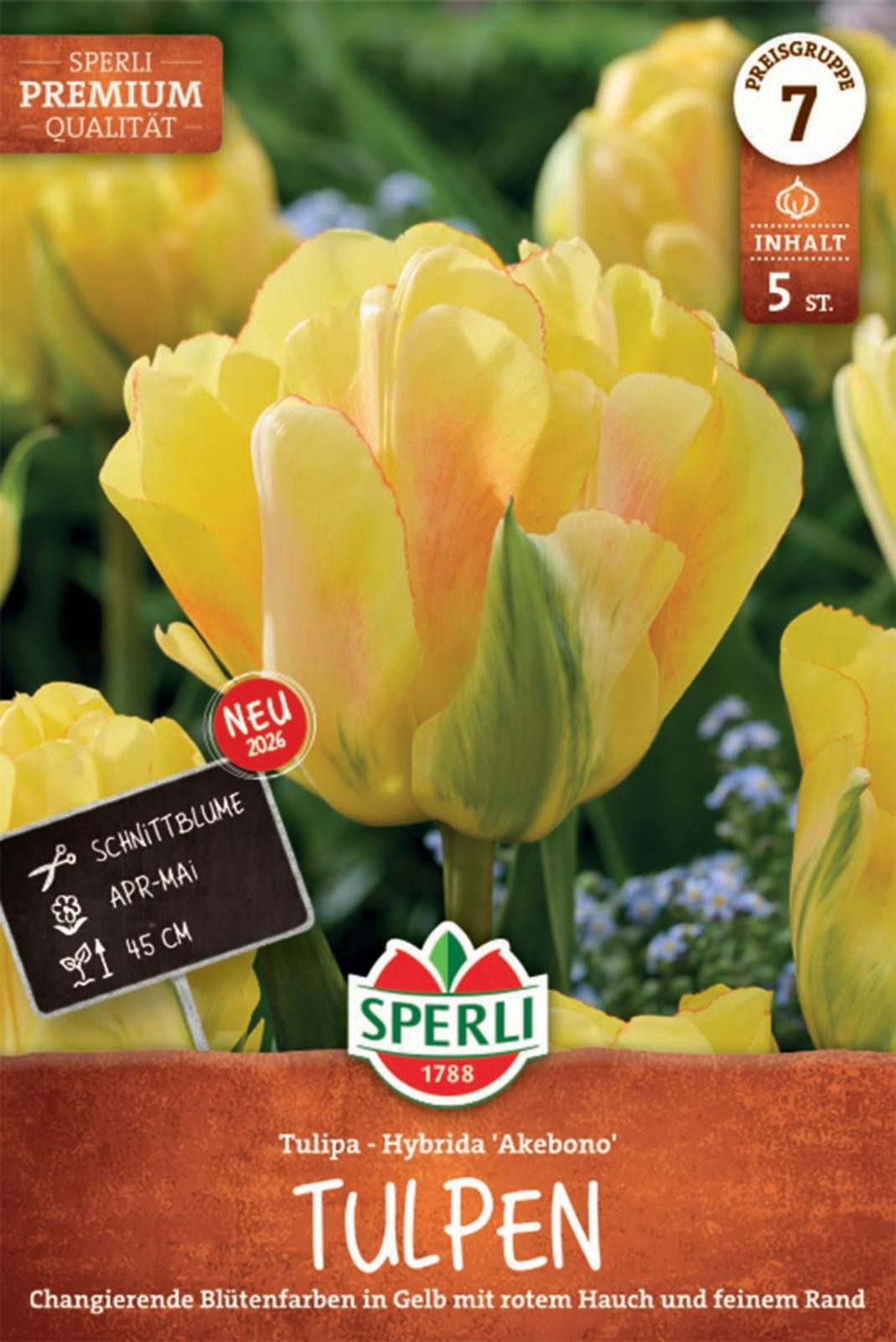 Sperli Premium gevulde late tulpen Akebono tulpenhybriden 5 bollen