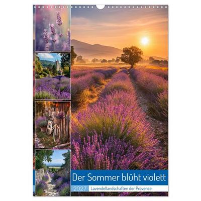 Der Sommer blüht violett (Wandkalender 2027 DIN A3 hoch), CALVENDO Monatskalender