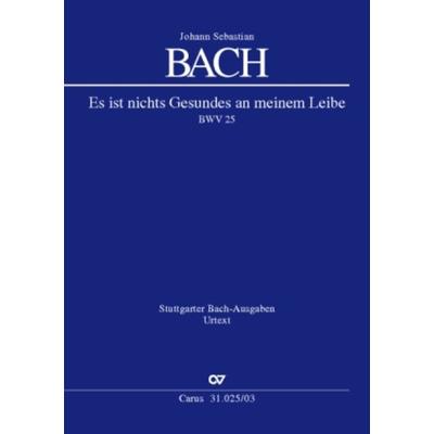 Es ist nichts Gesundes an meinem Leibe (Klavierauszug) -