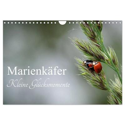 Marienkäfer - kleine Glücksmomente (Wandkalender 2027 DIN A4 quer), CALVENDO Monatskalender