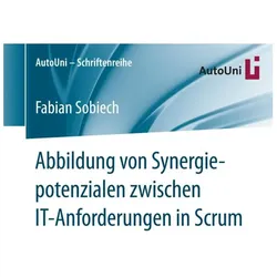 Abbildung von Synergiepotenzialen zwischen IT-Anforderungen in Scrum, Fachbücher von Fabian Sobiech