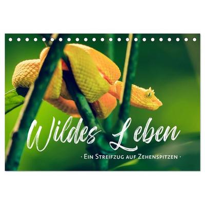 Wildes Leben - Ein Streifzug auf Zehenspitzen (Tischkalender 2026 DIN A5 quer), CALVENDO Monatskalender