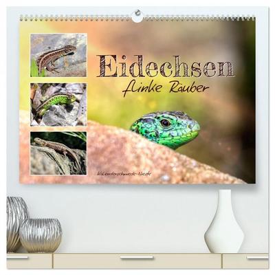 Eidechsen, flinke Räuber (hochwertiger Premium Wandkalender 2026 DIN A2 quer), Kunstdruck in Hochglanz