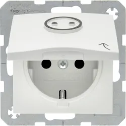 Berker Schuko-Steckdose pws 47861949