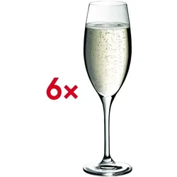 WMF 6er-Set Champagnerkelche »easy Plus« 250 ml weiß, 14 cm