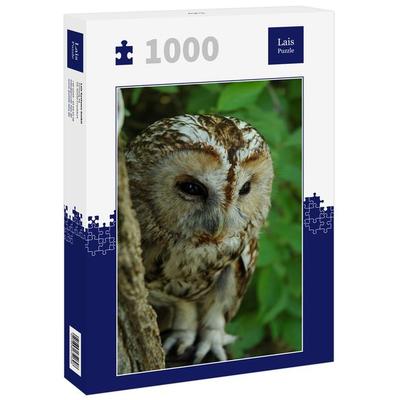 Lais Puzzle Eule 1000 Teile