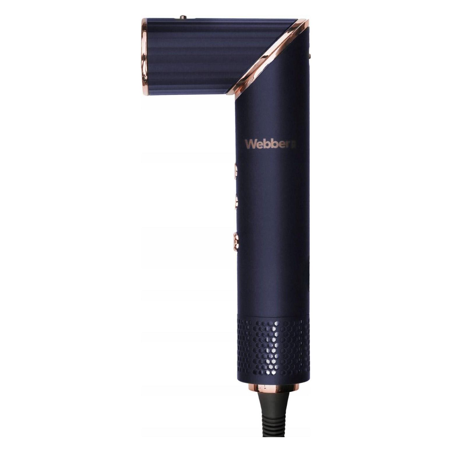 Webber Haartrockner und Styler 5in1 CELIA (49854689)