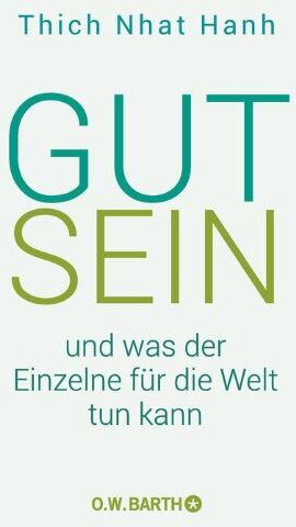Thich Nhat Hanh - Gut sein und was der Einzelne für die Welt tun kann - Preis vom 19.10.2026 19:33:35 h