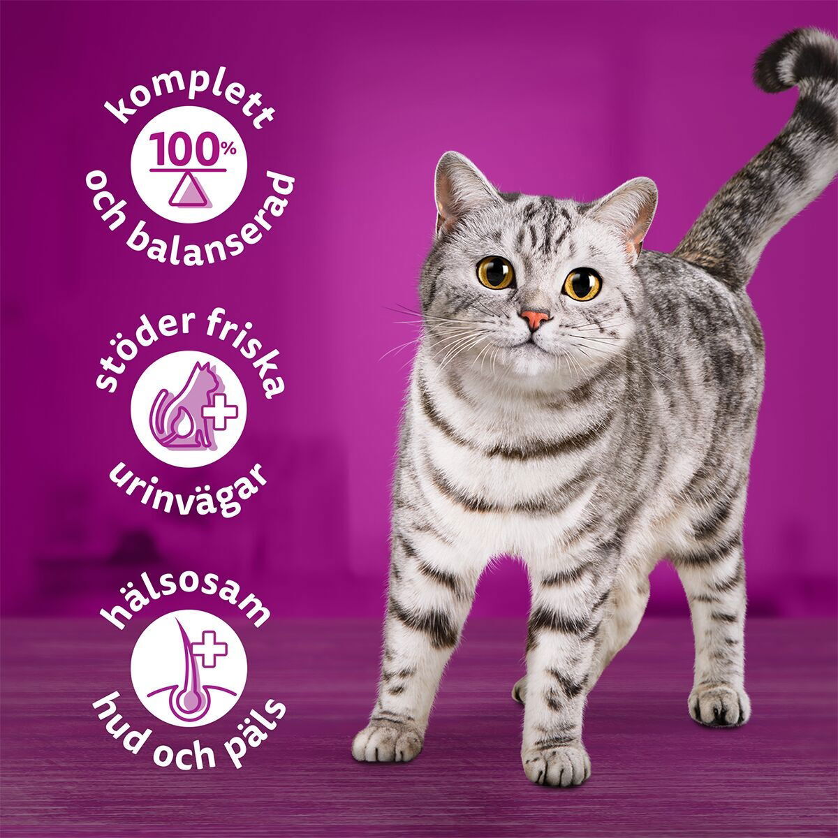 Whiskas Kyckling I Sås 400 G