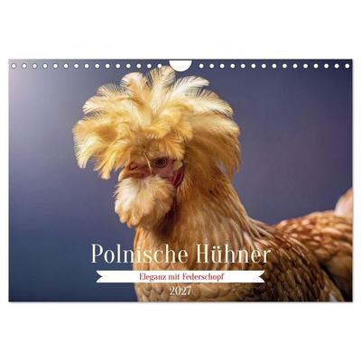 Polnische Hühner (Wandkalender 2027 DIN A4 quer), CALVENDO Monatskalender