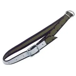 Kerbl Halsband 100x4 cm, mit Ovalglied und D-Ring, Halsband + Leine