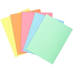 Exacompta 850300E - 10 Packungen mit 30 Untermappen aus Super 60 g/m2 Papier - 5 Farben sortiert.