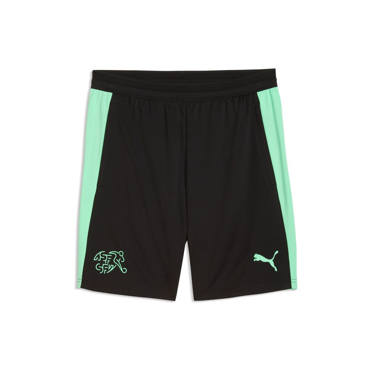 Puma SFV Training Shorts w/ Pockets puma black-green glimmer (10) XL 784176-10-XL