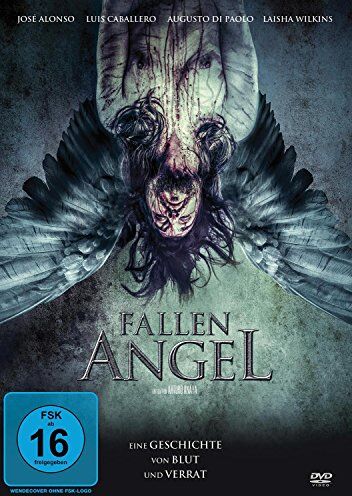 Emiliano Zurita - Fallen Angel - Der gefallene Engel - Preis vom 11.10.2026 03:10:56 h