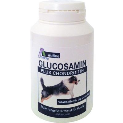 Glucosamin+Chondroitin Kapseln f.Hunde 120 St