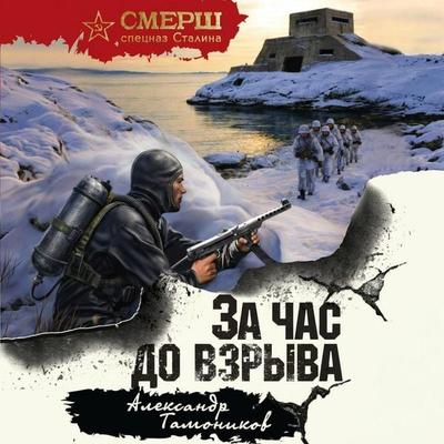 Za chas do vzryva - Aleksandr Tamonikov, Audio, 9785042432927