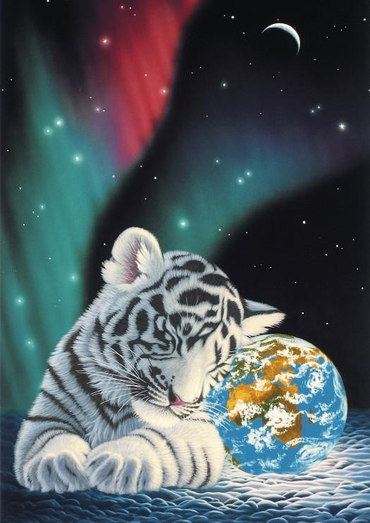 Grafika Puzzel Schim Schimmel Earth Light Landschap 2000 stukjes