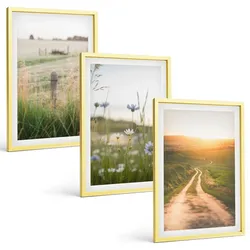 BILDER SET 3er Set - 40x60 cm Goldrahmen - Landschaften Natur Felder Weg