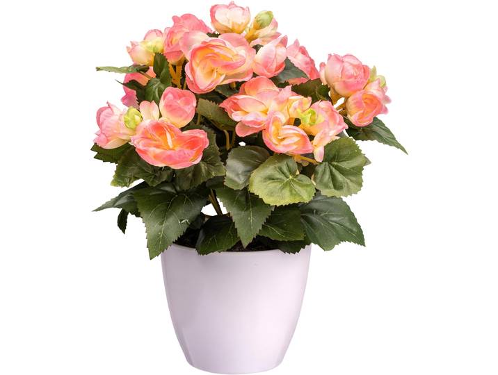 Kunstblume CREATIV GREEN Begonie , rosa, H:28cm, Kunststoff, Kunstpflanzen, Kunstblume, mit farbenfrohen Blüten