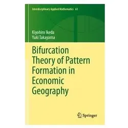 Bifurcation Theory of Pattern Formation in Economic Geography, Fachbücher von Kiyohiro Ikeda, Yuki Takayama