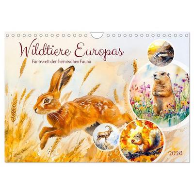 Wildtiere Europas - Farbwelt der heimischen Fauna (Wandkalender 2026 DIN A4 quer), CALVENDO Monatskalender
