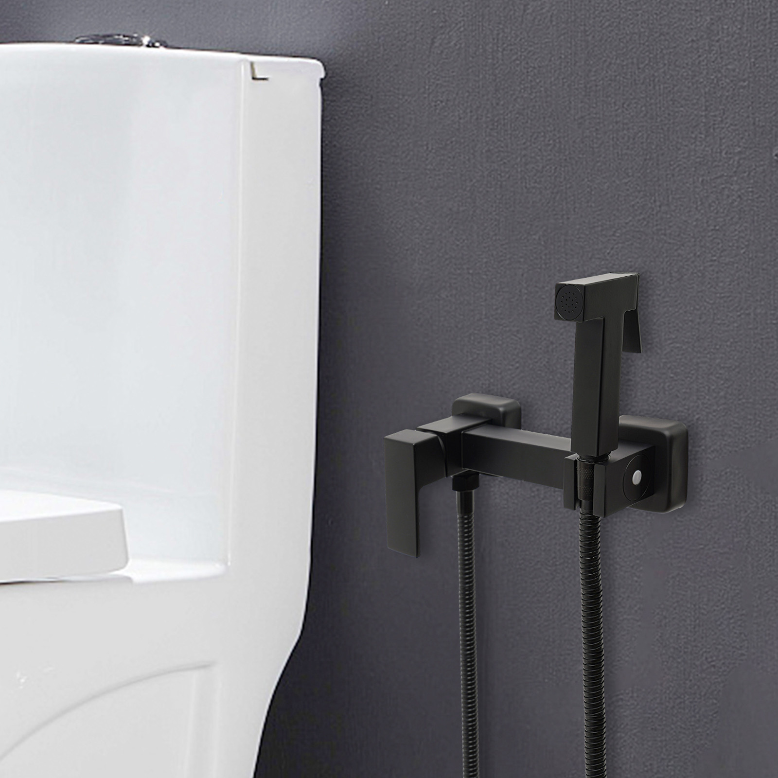 Easybuy Set met Handdouche, Slang, Badkraan en Toiletreiniger - Zwart