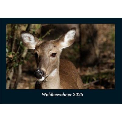 Waldbewohner 2025 Fotokalender DIN A4