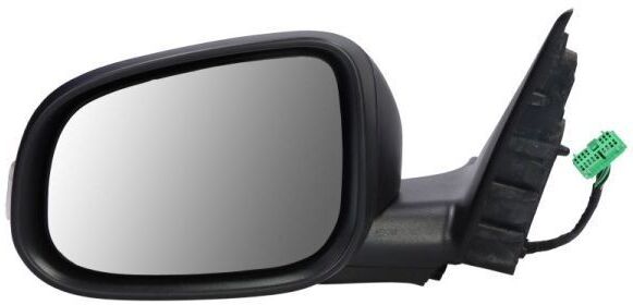 BLIC 5402-24-1517310P Wing mirror