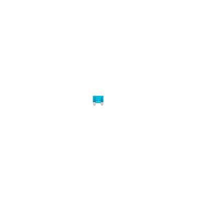 BOSCH Sicherung 1 987 529 031