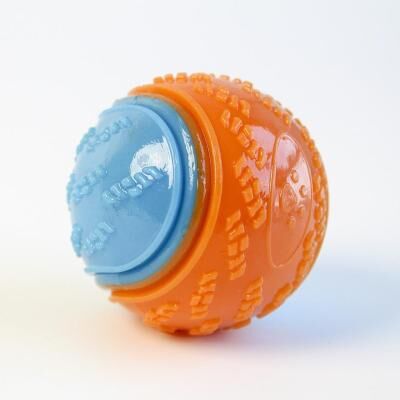Happy Pet Pantry Interactive Squeaky Dog Chew Ball For Teeth Cleaning & Puppy Training blue