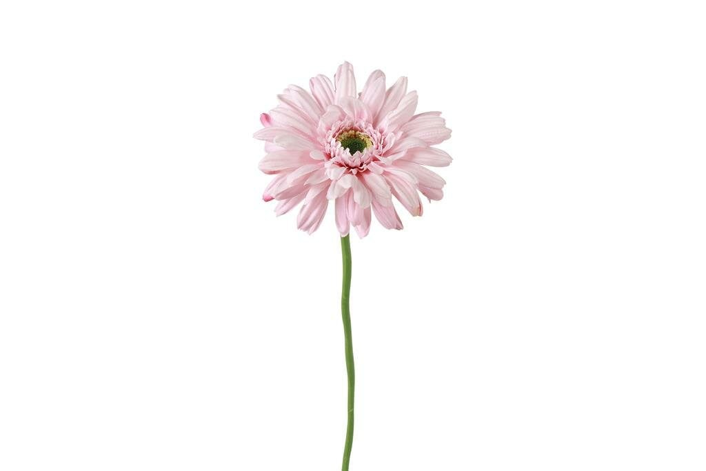 Countryfield zijden bloem gerbera leanne roze 60 cm