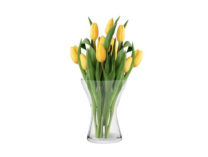 TREND FOR HOME Bloemenvaas, glas, 19 cm, glazen vaas voor bloemen, glas, decoratieve tafelvaas, heldere glazen vaas, woonkamerdecoratie, aster, 1325 ml