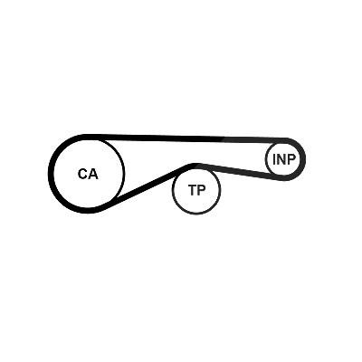 Continental Ctam Zahnriemen [Hersteller-Nr. CT1095] für Audi