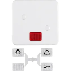 Berker Wippe pws 155709
