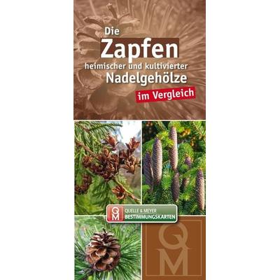 Die Zapfen heimischer und kultivierter Nadelgehölze im Vergleich, Sonstige von , Quelle & Meyer, 978-3-494-01988-8
