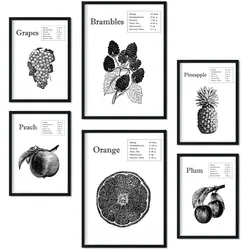 POSTER Set Mit 6 Fruchtplakaten Sammlung A3 & A4 Schwarzer Rahmen