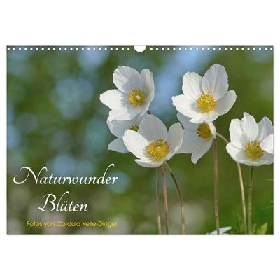 Naturwunder Blüten (Wandkalender 2027 DIN A3 quer), CALVENDO Monatskalender