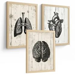 POSTER Set aus 3 Anatomie Mensch Drucke und Wandbilder mit Gehirn Herz Lungen Luftröhre Bronchien Industrielles Schwarz Weiß Design Größe Rahmenlos A4