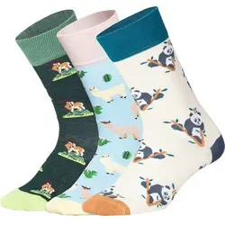 DILLY SOCKS Socken Animal Adventures (3er Box), Größe 36/40 in Bunt Bunt