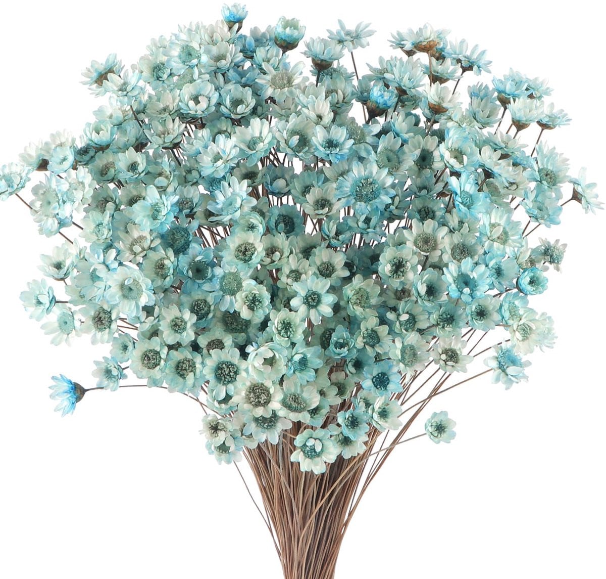 SnelShoppen 300 stuks gedroogde sterbloemen blauw voor decoratie en DIY-projecten
