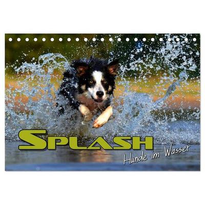 SPLASH - Hunde im Wasser (Tischkalender 2027 DIN A5 quer), CALVENDO Monatskalender