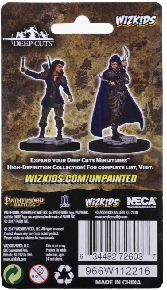 Wiz Kids LLC Pathfinder Deep Cuts Unpainted Miniatures: Human Female Rogue for Tabletop Gaming