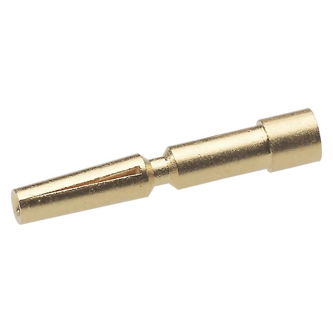 Lapp EPIC SIGNAL M23 Buchsenkontak (74200600)