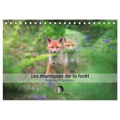 Les murmures de la forêt - Regards d'animaux (Calendrier de bureau 2027 DIN A5 vertical), CALVENDO calendrier mensuel