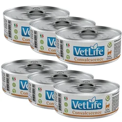 Farmina Vet Life Convalescence Cat 6x85g