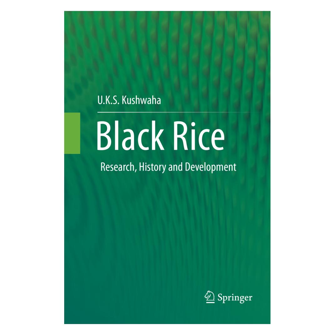 Springer Black Rice (Englisch, Softcover, U K S Kushwaha, U.K.S Kushwaha) (55998245)