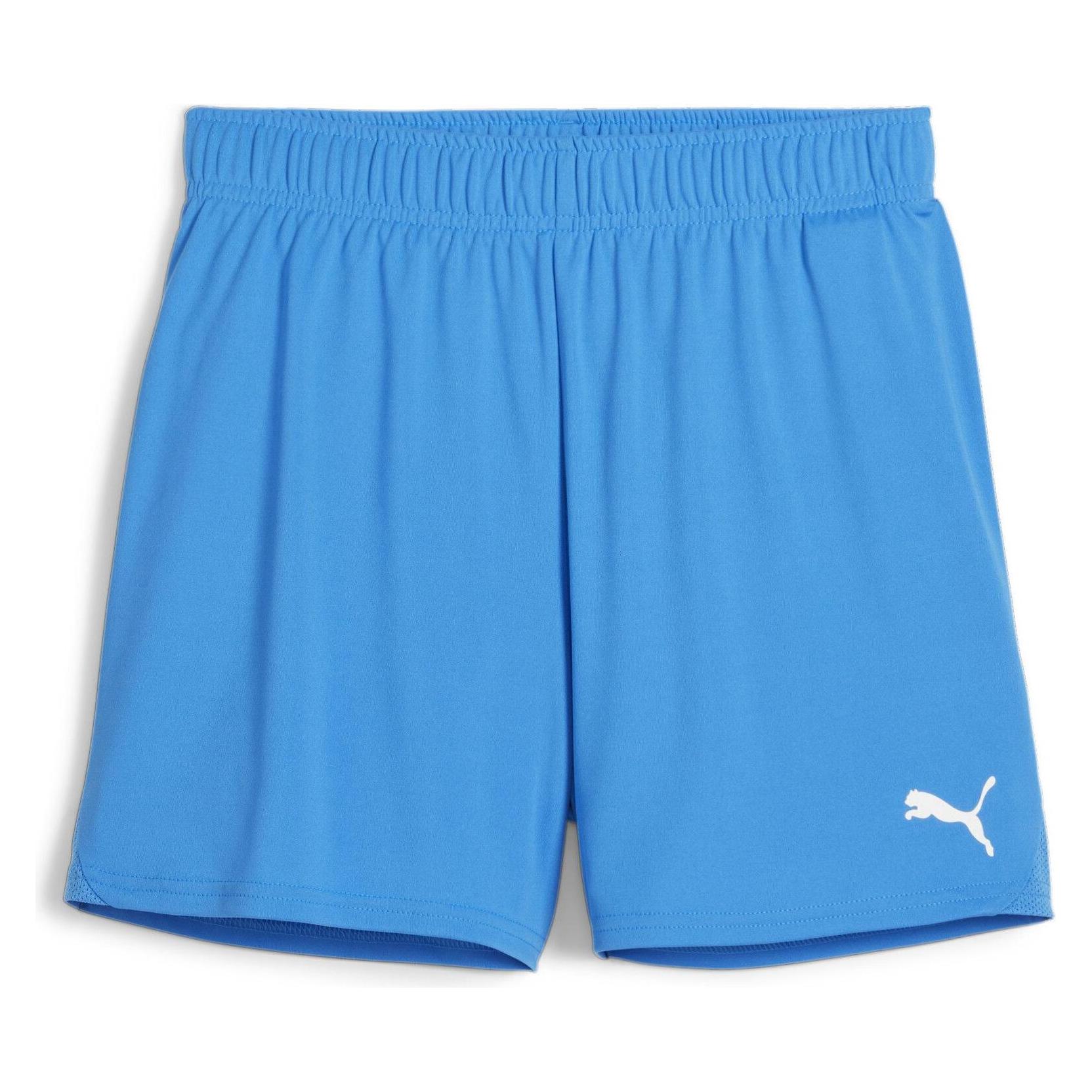 Puma teamGOAL Handball Shorts W (M) (706019_02)