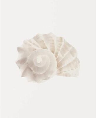 Inspired Finds Watercolor Sea Shell Wall Art Canvas Set Starfish Coastal Prints For Living Room Decor 15.75x23.62in No Frame sand Spiral Shell